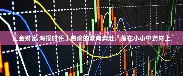 汇金财富 海报时评丨鲁渝的双向奔赴，落在小小中药材上